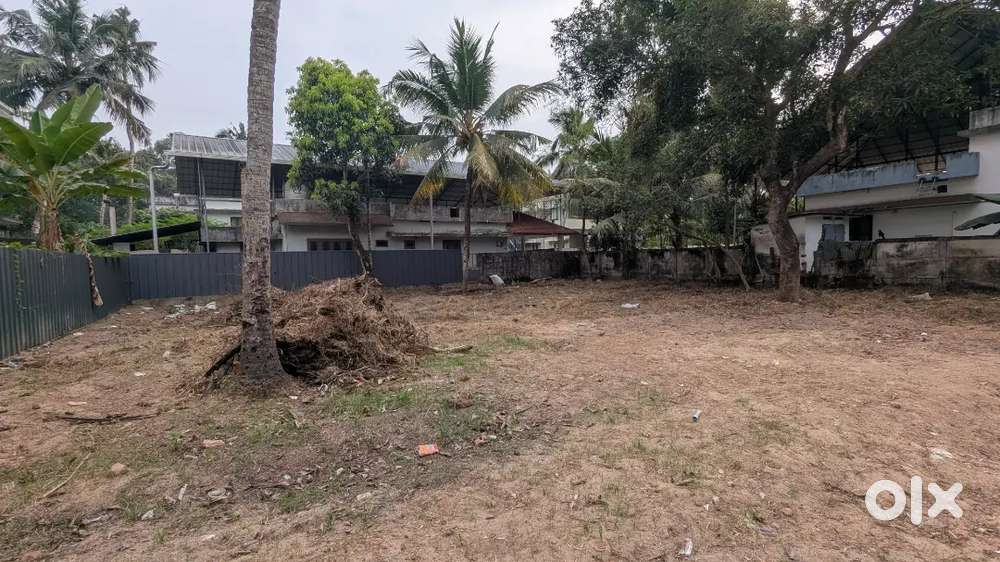 10 cents  land for sale in Karunagappally (Mannadisseri)