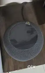 Apple homepod