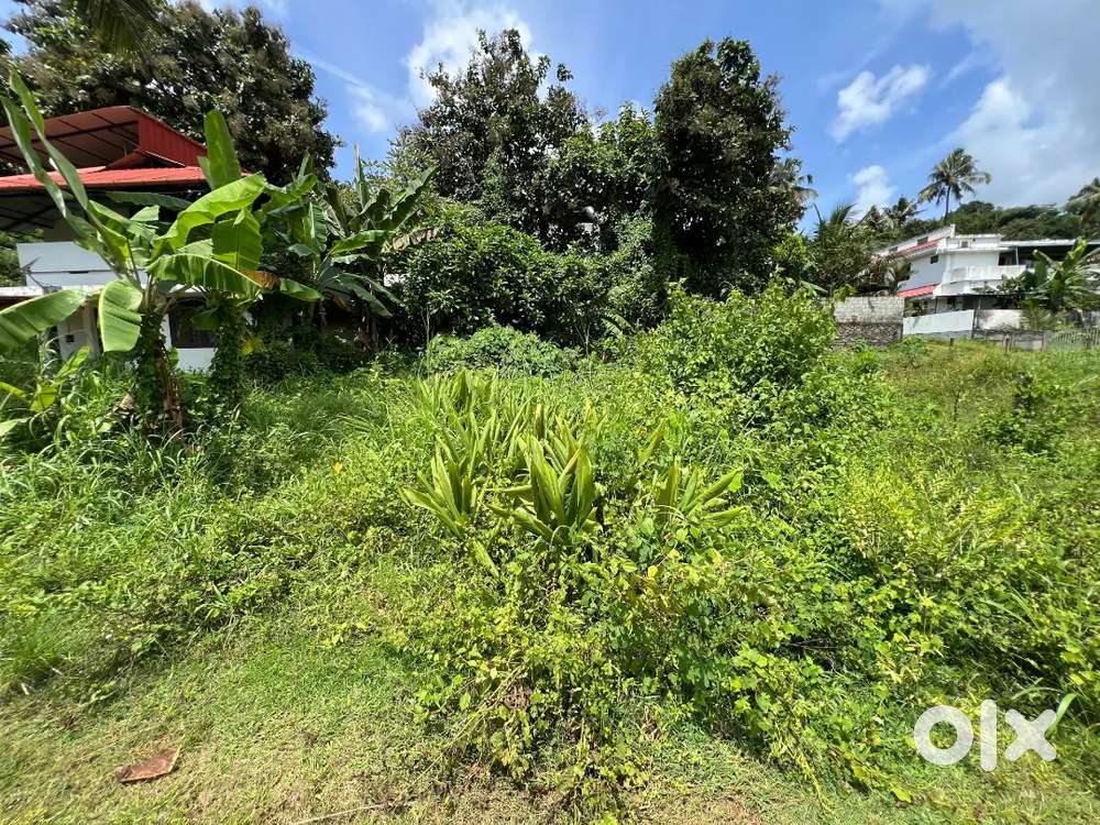 Plot for Sale