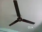 CEILING FAN NEW CONDITION
