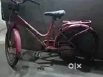 Avon cycle
