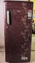 Single door refrigerator