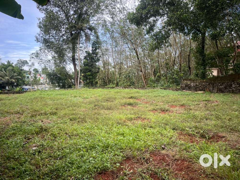 Land sale in pallikkara