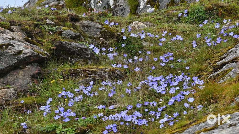 SAMSUNG 27 INCHES 4K MONITOR