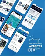 Website Development