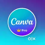 Windows 11, 10, Mac Os, software install -Banu Nagar