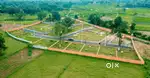 JHIRPANI KERKATTA PLOT FOR SALE SOCIETY TYPE PLOTING PROJECT
