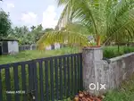 10 cent House plot for sale at Kadungalloor Aluva
