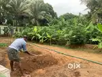 Residential & Commercial Land for Development