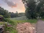 1.5 acer land for sale,road side, near parapuzha Kodikulam.