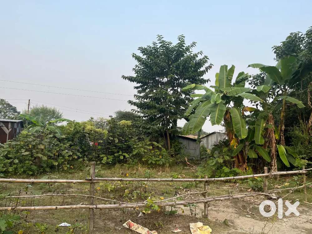 Paul's Land for Sell