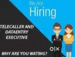 Data Entry, Back Office, Telecaller etc.