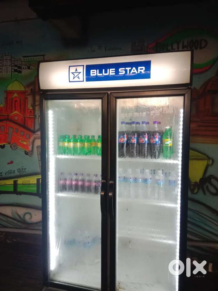 Blue star  double door freeze and deep freezer
