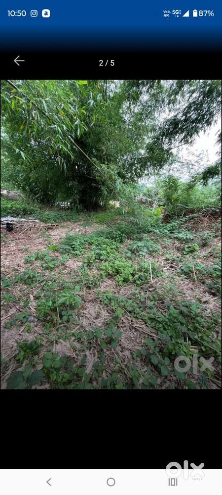 16 lessa plot at kalapani maligaon