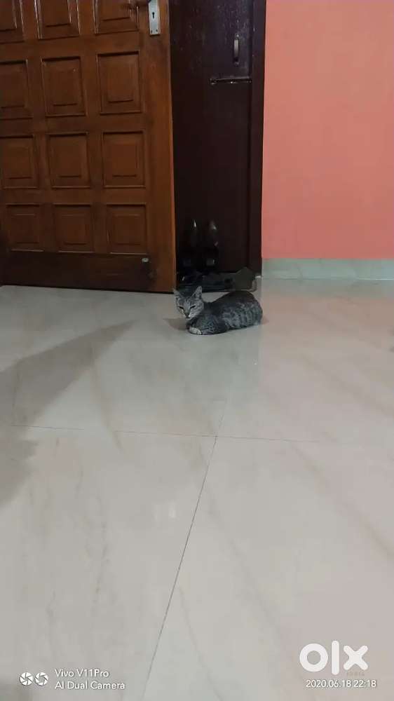 1BHK Flat available for Rent at Birubari opp Pragjyotishpur Medical