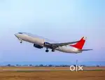 Candidate required for airport job