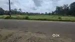 Nedumbassery near athani mekkad 12 cent main road frontage for sale