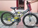 BACHHON KI CYCLE