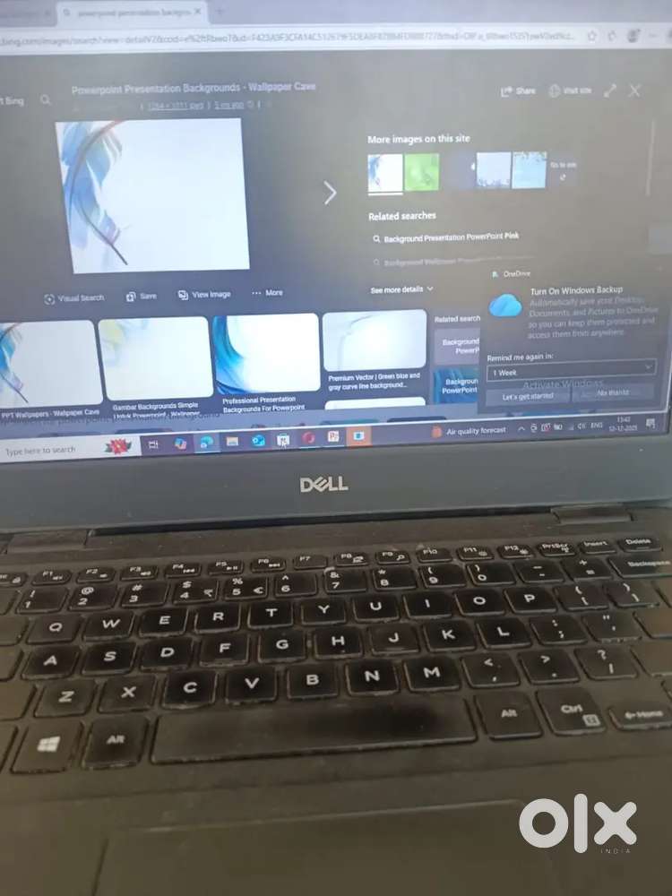 I have a job only for girl