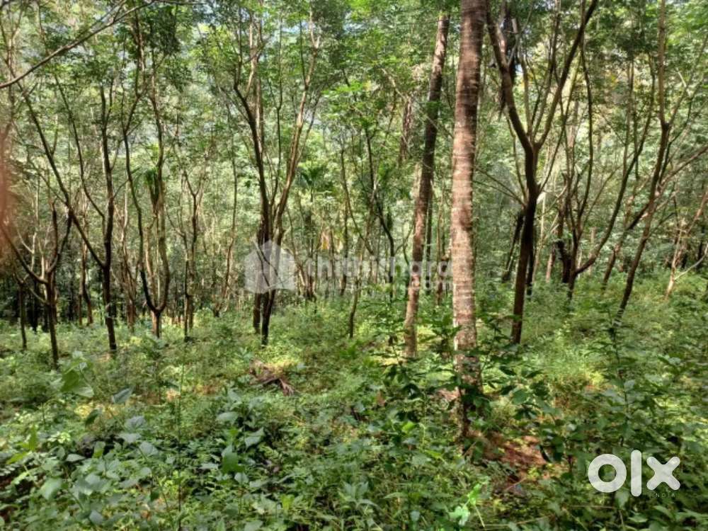 From 3 km from  thodupuzha muvattpuzha NH Road. 80000 per sent