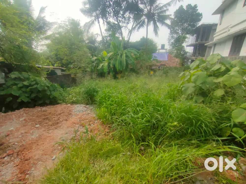 4 cent apartment/House plot for sale near infopark 900 mtr