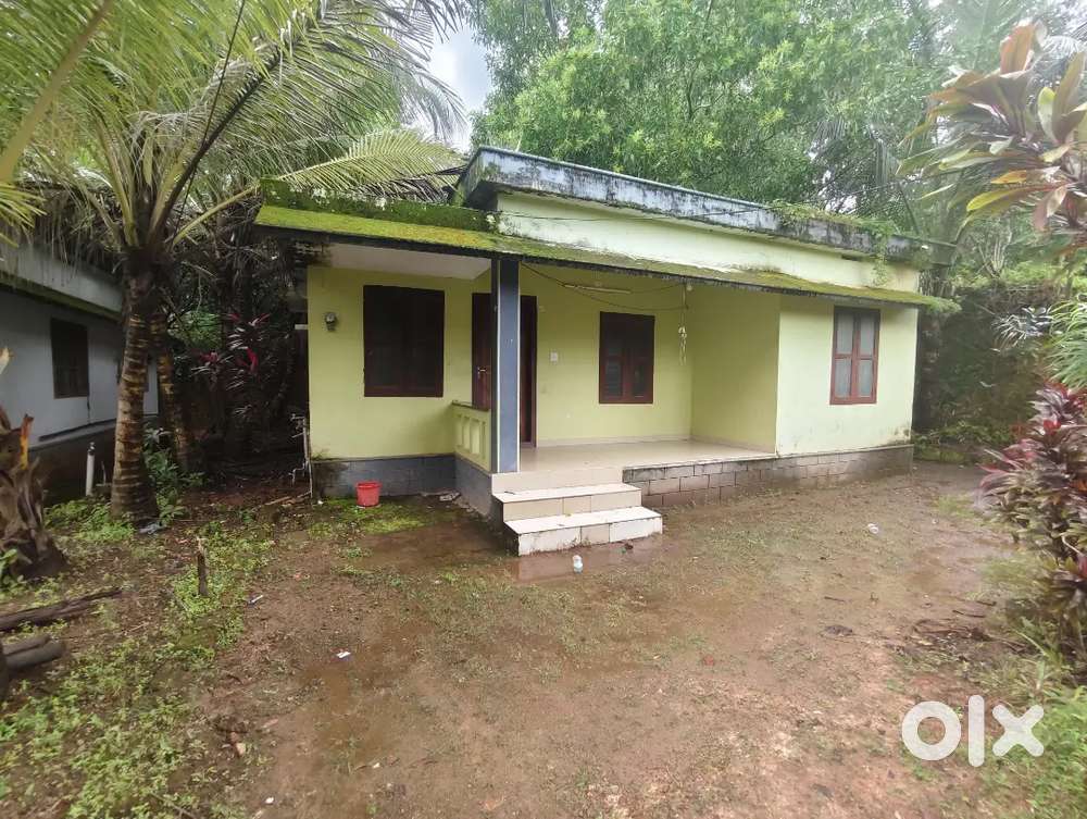 3bhk house for rent in perumbala, naimaramoola