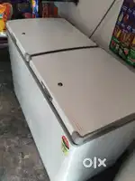 Western double door freezer