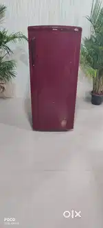 Haier 4 Star 220 litres Single Door Fridge, Free Delivery Bengaluru