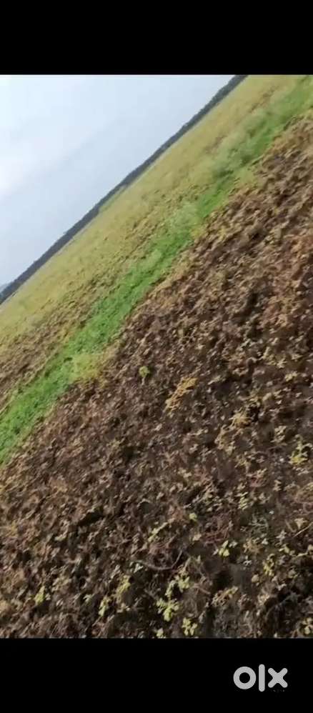 13 Acre Agricultural Land for sale