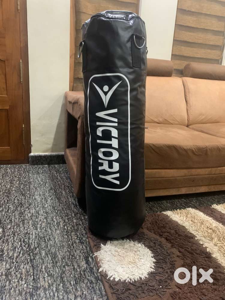 punching bag with gloves