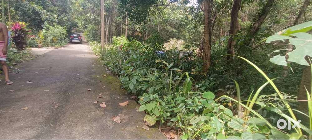 1acer agriculture land 1.20lac per cent, nr tapmi college alevoor road