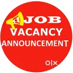 Fresher and experienced