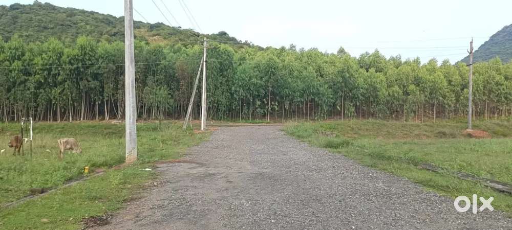 Google Ai Data Center Tarluvada near open plots available