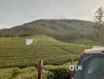 Acting Driver Services