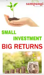 Low investment Big returns