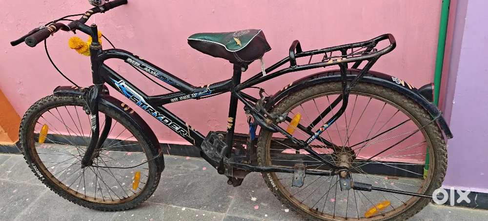 Stryder cycle