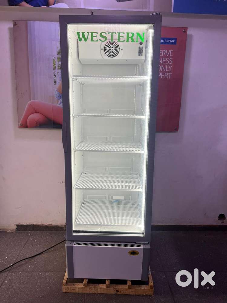 Western visi fridge
