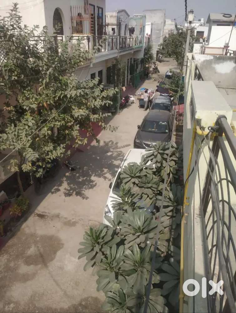 Behind peramaunt society