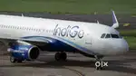 Apply now ground staff jobs in Indigo Airlines vacancy nearest airport