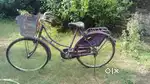 Ladies cycle