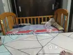 Babyhug Crib with babyhug mattress