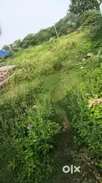 I am selling my land  near ayodhyapuram near to New railway locoshed