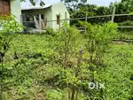 বাড়িতে থেকে খেয়ে কাজ করার জন্য কাজের মাসি চাই