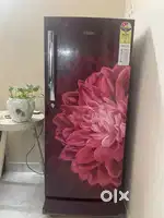 Haier refrigerator