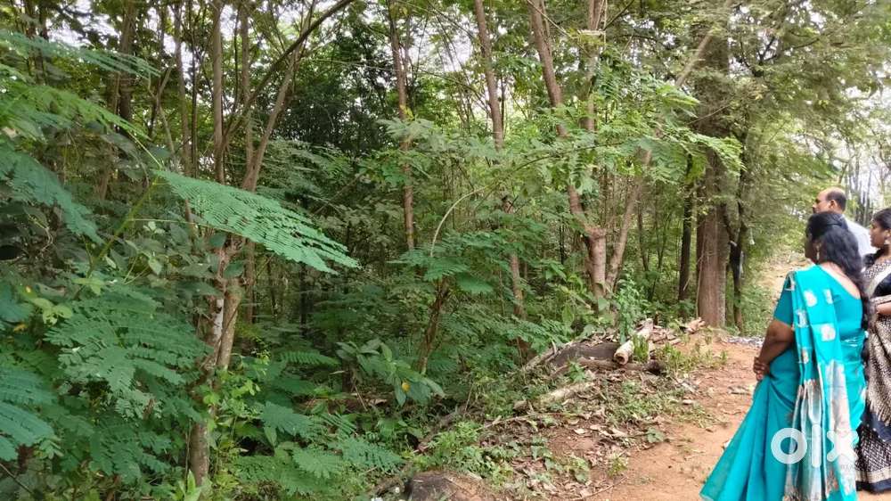 17 cent main roadinu 500 mtr mari