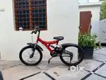 Atlas roar cycle for kids