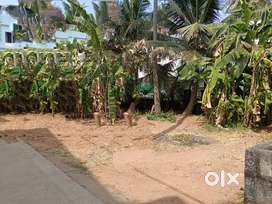 For Rent , 5 to 10 cents land  near pandeshwar Mangalore Karnataka