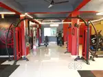 Imported look with heavy duty complete new Gym Equipment Setup.