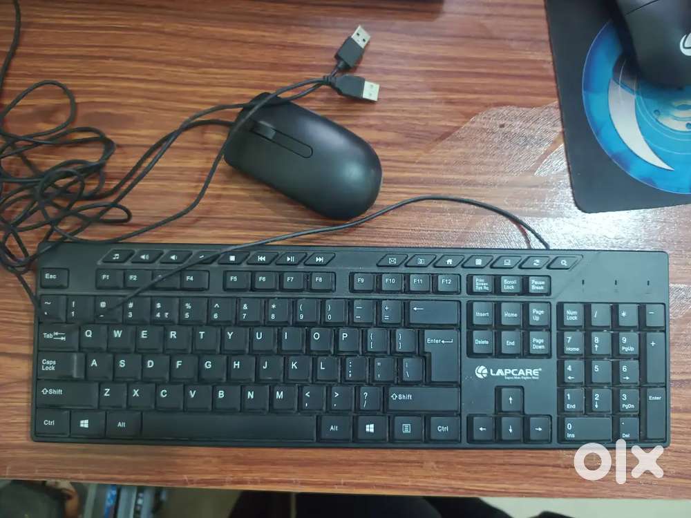 Wired Dell Mouse + Lapcare Keyboard (Good Condition)
