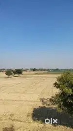 60 gaj plot for sale only rs  24000/ gaj in kp2 greater Noida